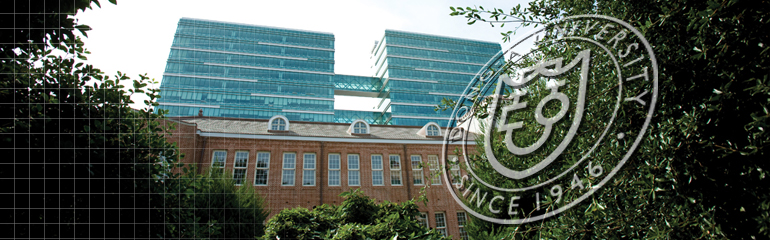 �����̹���