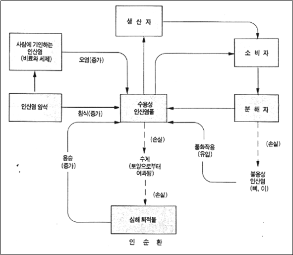 부영양화 과정