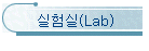 (Lab)